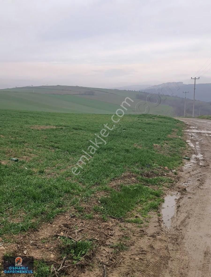 İmar Sınırında Yatırımlık Satılık Hisse - Görsel 6