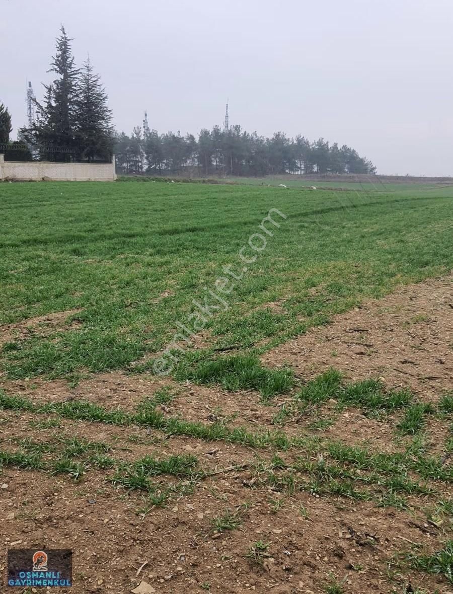 İmar Sınırında Yatırımlık Satılık Hisse - Görsel 15