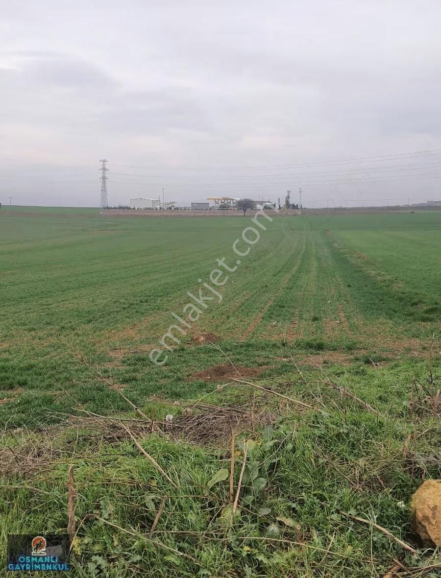 İmar Sınırında Yatırımlık Satılık Hisse - Görsel 9