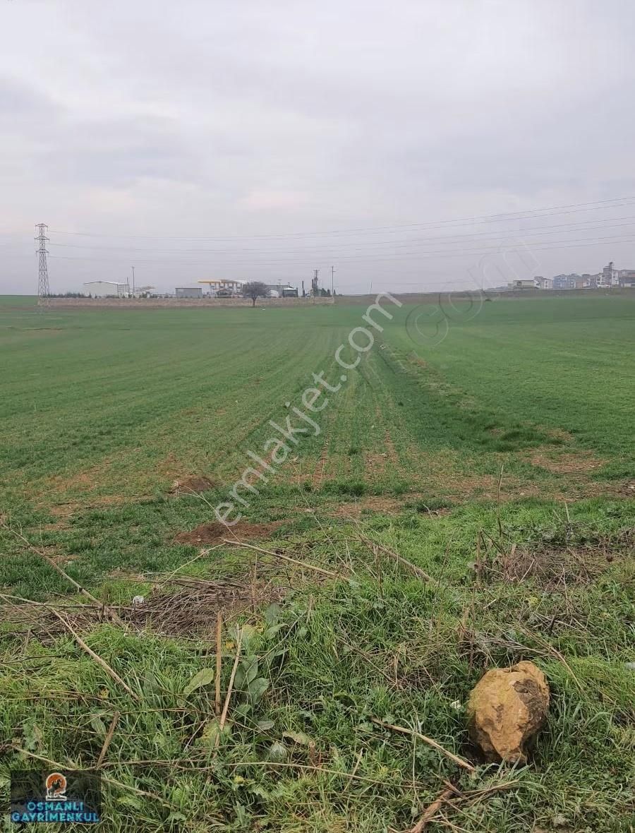 İmar Sınırında Yatırımlık Satılık Hisse - Görsel 10