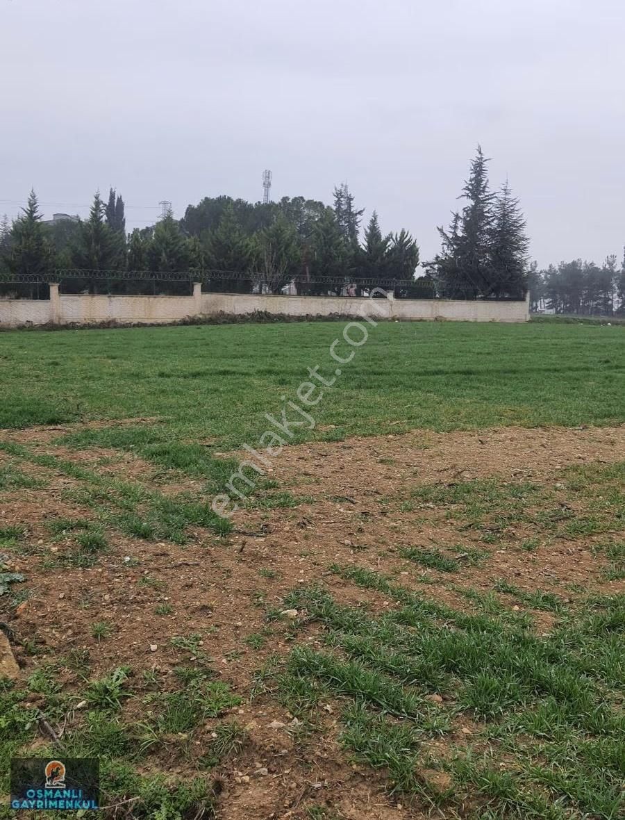 İmar Sınırında Yatırımlık Satılık Hisse - Görsel 2