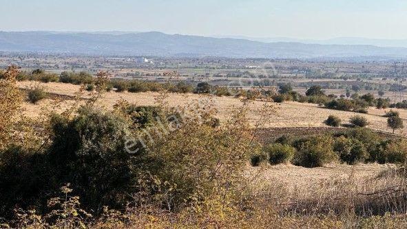 Lir Den Çanakkale Biga Eskibalıklı Da Müstakil 1250 Metre Tarla - Görsel 2