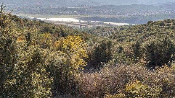 Lir Den Çanakkale Biga Eskibalıklı Da Müstakil 1250 Metre Tarla - Görsel 7