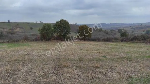 Lir Den Çanakkale Biga Sazoba Da Satılık 3038 M2 Müstakil Tarla - Görsel 3
