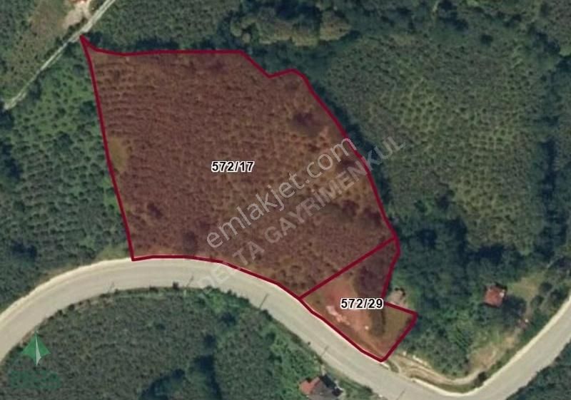 Delta Premım Gayrimenkul'den Satılık Altınordu'da Fırsat Arsa!!! - Görsel 23