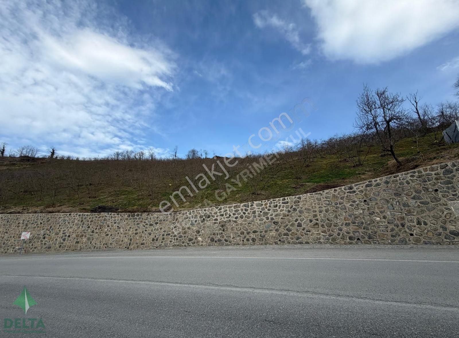 Delta Premım Gayrimenkul'den Satılık Altınordu'da Fırsat Arsa!!! - Görsel 9