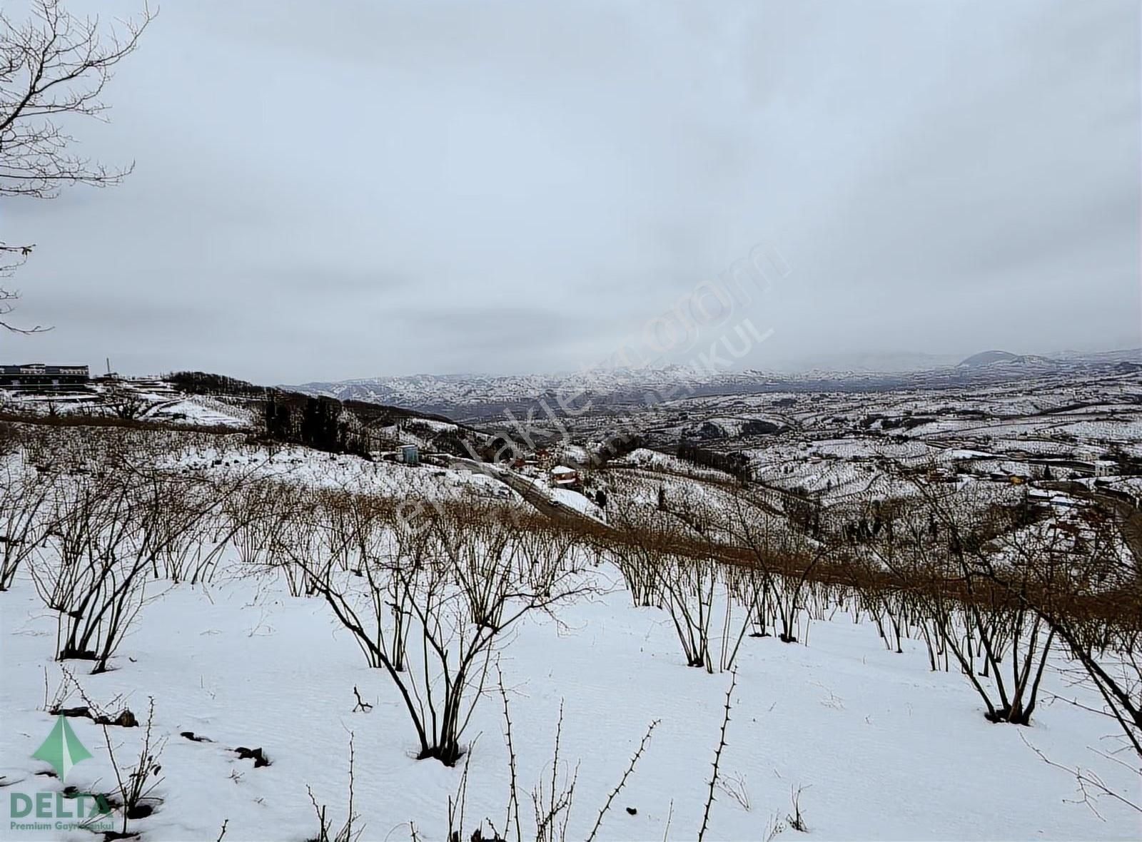 Delta Premım Gayrimenkul'den Satılık Altınordu'da Fırsat Arsa!!! - Görsel 12