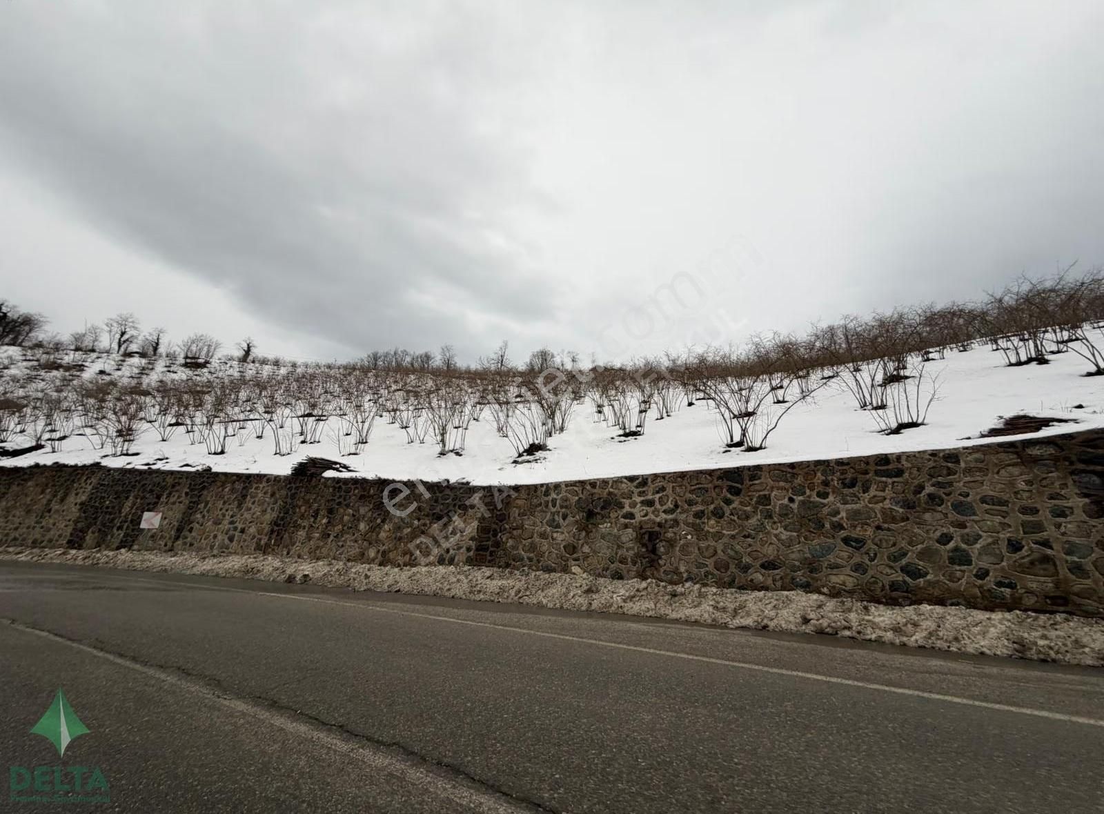 Delta Premım Gayrimenkul'den Satılık Altınordu'da Fırsat Arsa!!! - Görsel 2