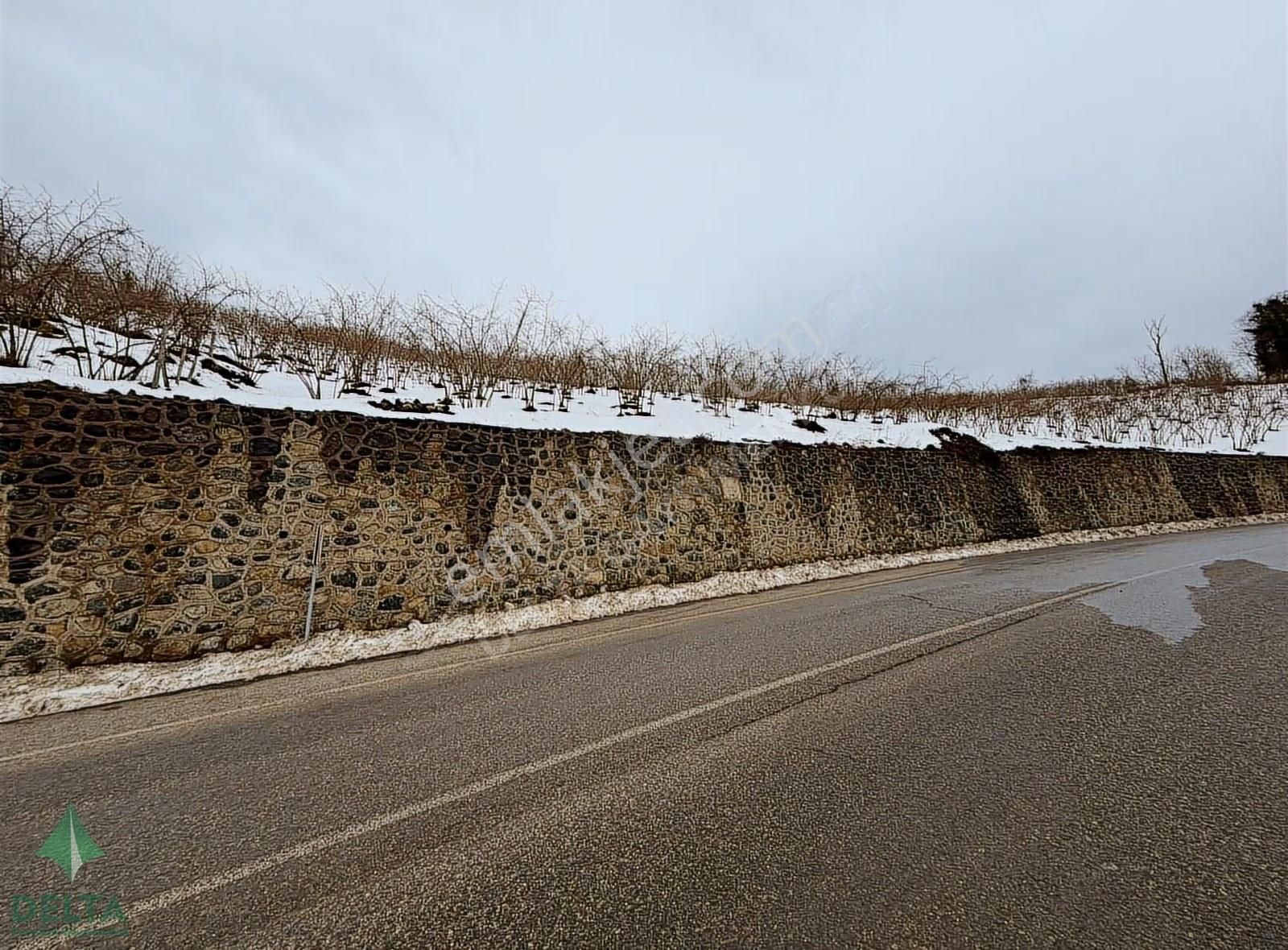 Delta Premım Gayrimenkul'den Satılık Altınordu'da Fırsat Arsa!!! - Görsel 24