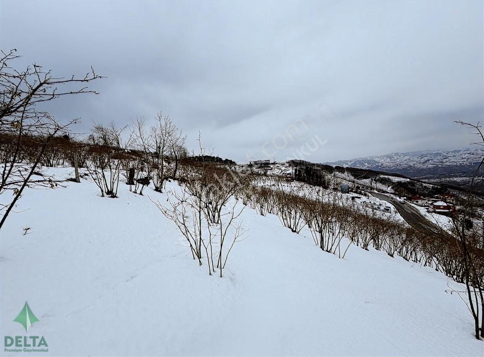 Delta Premım Gayrimenkul'den Satılık Altınordu'da Fırsat Arsa!!! - Görsel 11
