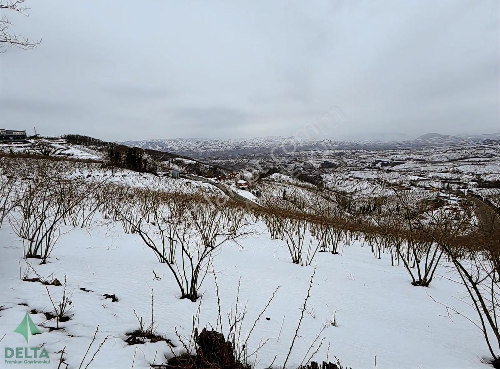 Delta Premım Gayrimenkul'den Satılık Altınordu'da Fırsat Arsa!!! - Görsel 16