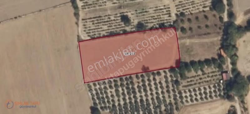 Muğla Menteşe Yeşilyurt Mah. 4.661 M2 Satılık Tarla - Görsel 4