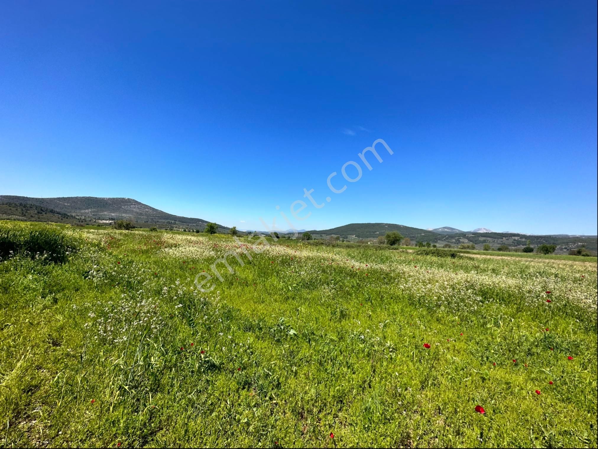Muğla Menteşe Yeşilyurt Mah. 4.661 M2 Satılık Tarla