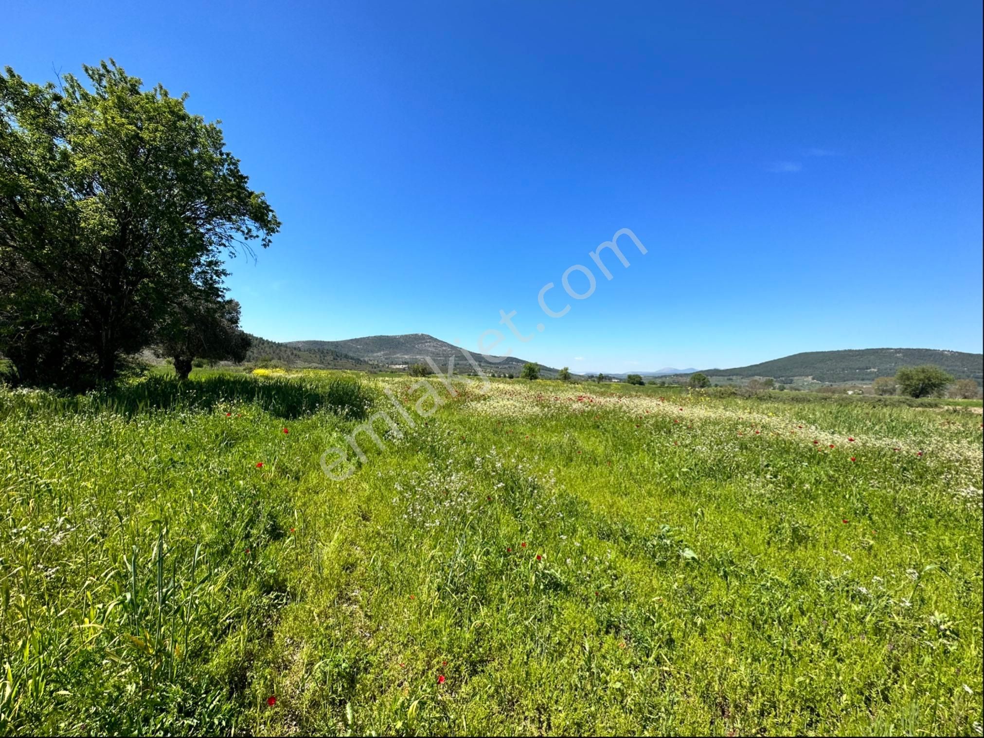 Muğla Menteşe Yeşilyurt Mah. 4.661 M2 Satılık Tarla - Görsel 7