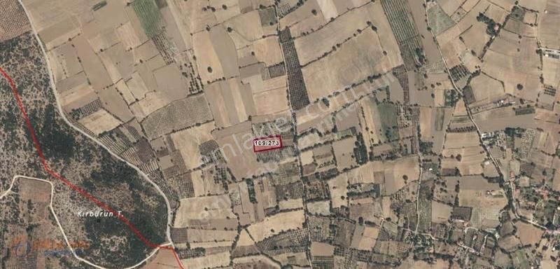 Muğla Menteşe Yeşilyurt Mah. 4.661 M2 Satılık Tarla - Görsel 5