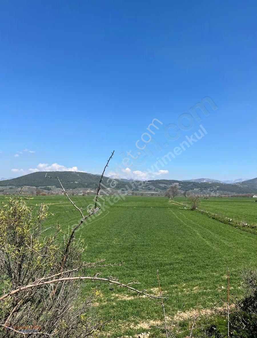 Muğla Menteşe Kafaca Mah. Satılık 2.090 M2 Tarla - Görsel 3