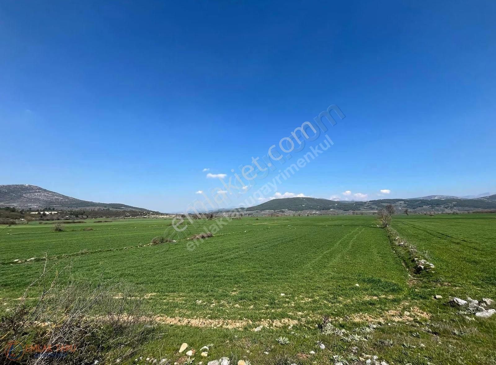 Muğla Menteşe Kafaca Mah. Satılık 2.090 M2 Tarla