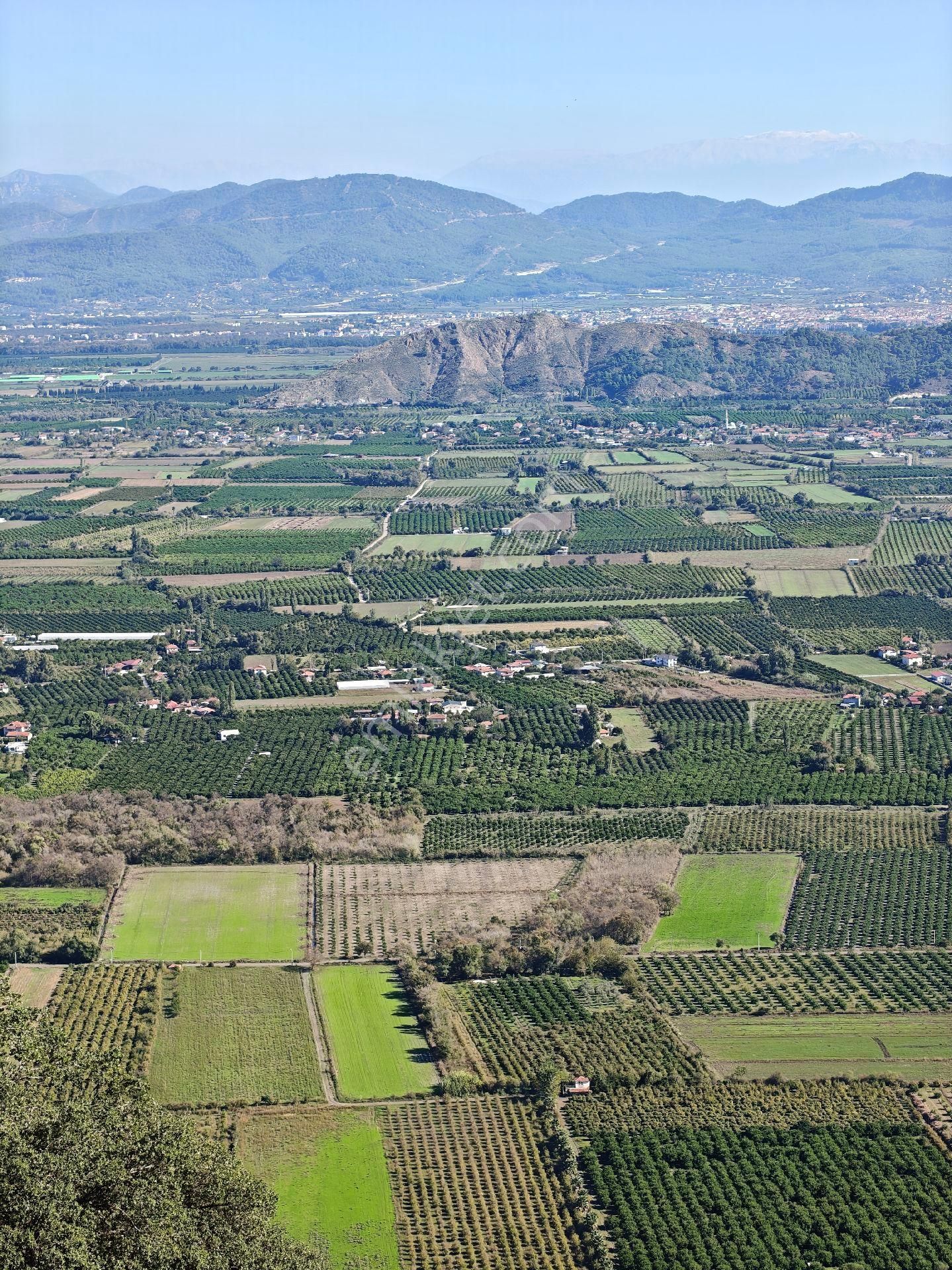 Muğla Ortaca Dikmekavak - Görsel 5