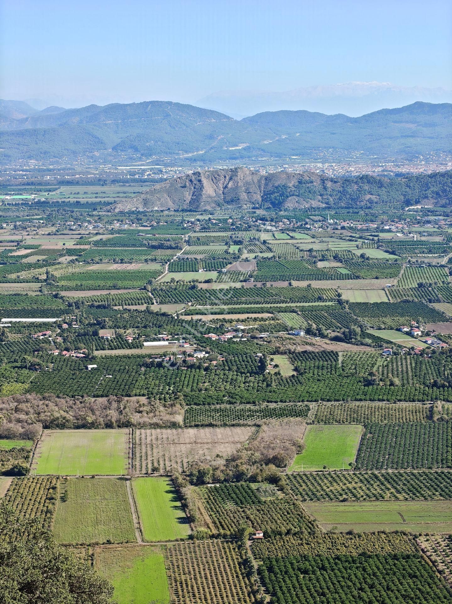 Muğla Ortaca Dikmekavak - Görsel 4