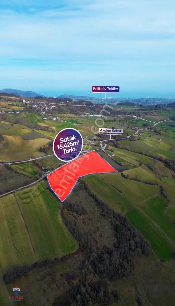 Remax Yasin'den Akalanda Satılık Tarla