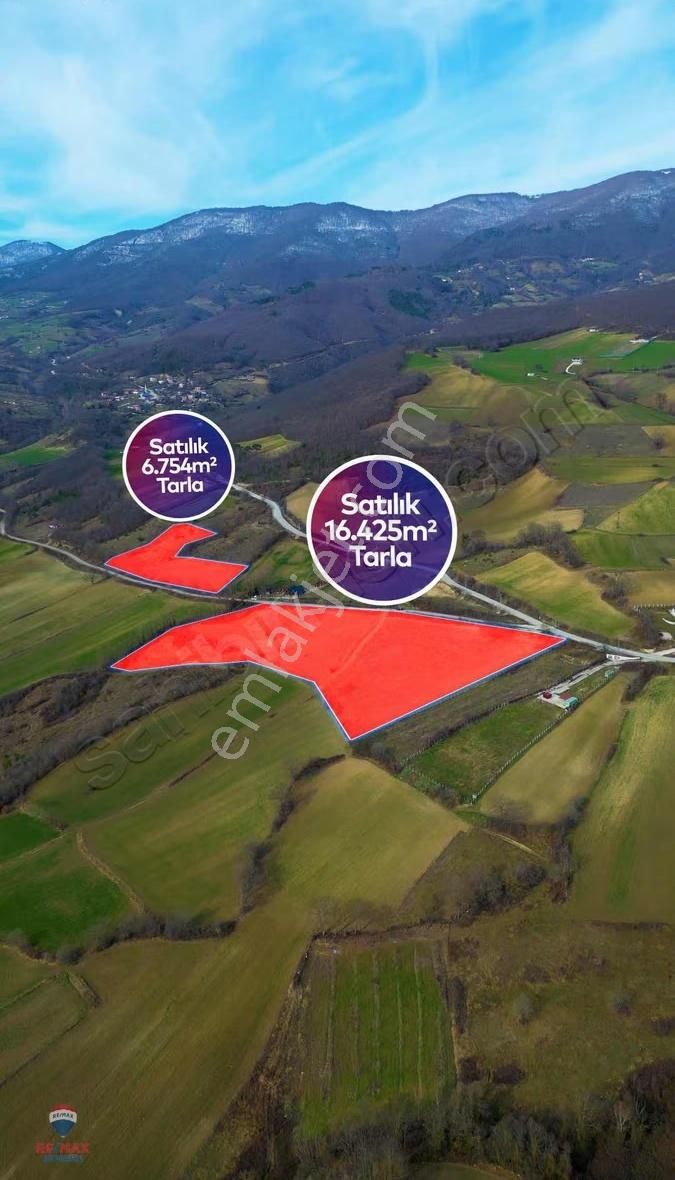 Remax Yasin'den Akalan Köyünde Satılık Tarla