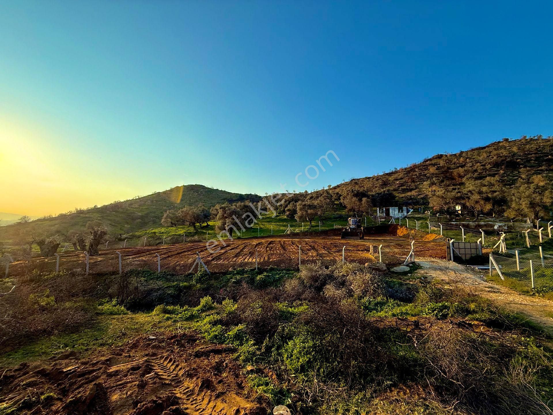 Arsa Tarla Kupon Yer