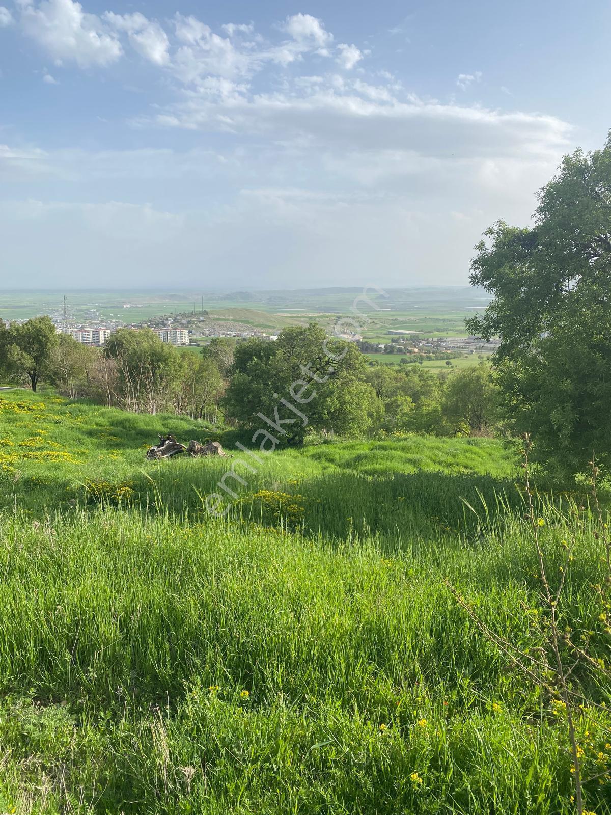 Ergani'de Makam Dağı Yol Üzeri Manzaralı İmara Çok Yakın 1000 M2 Satılık