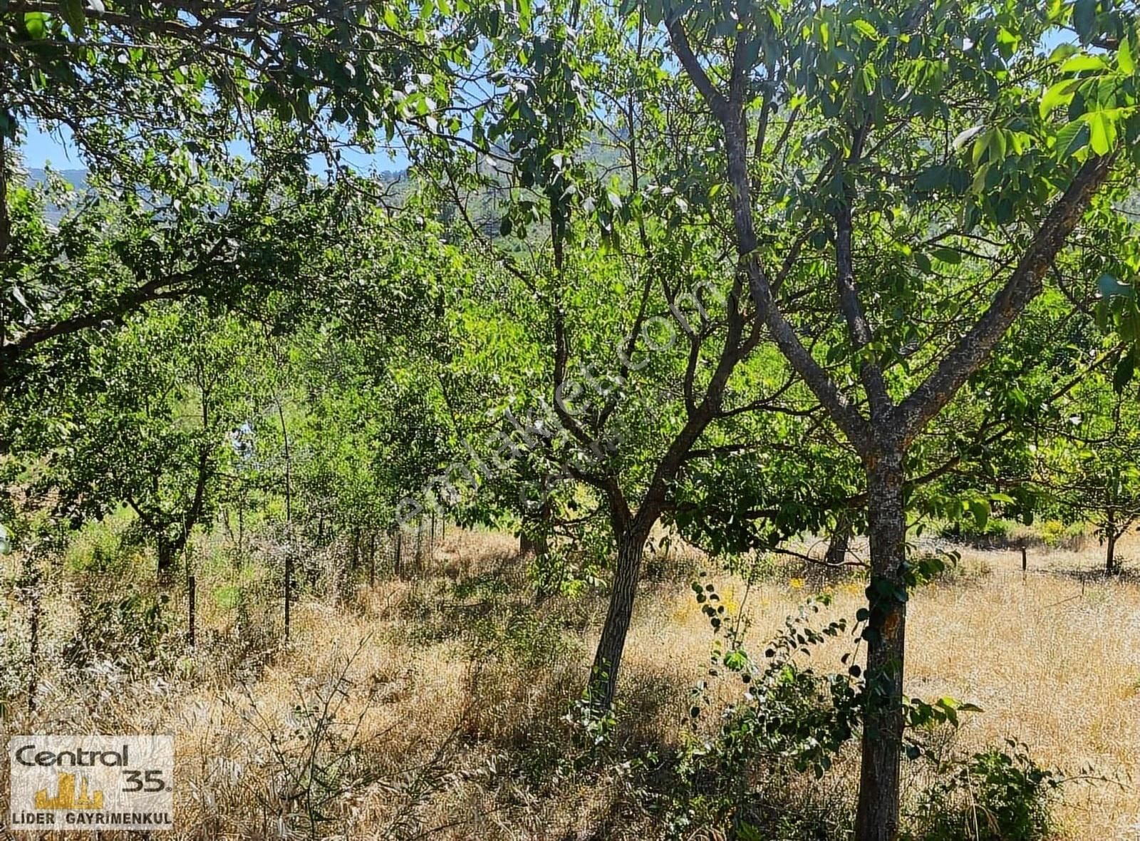 Central35 Lıder Bayındır Alankıyı 935m2 Asfalt Cephelı - Görsel 28