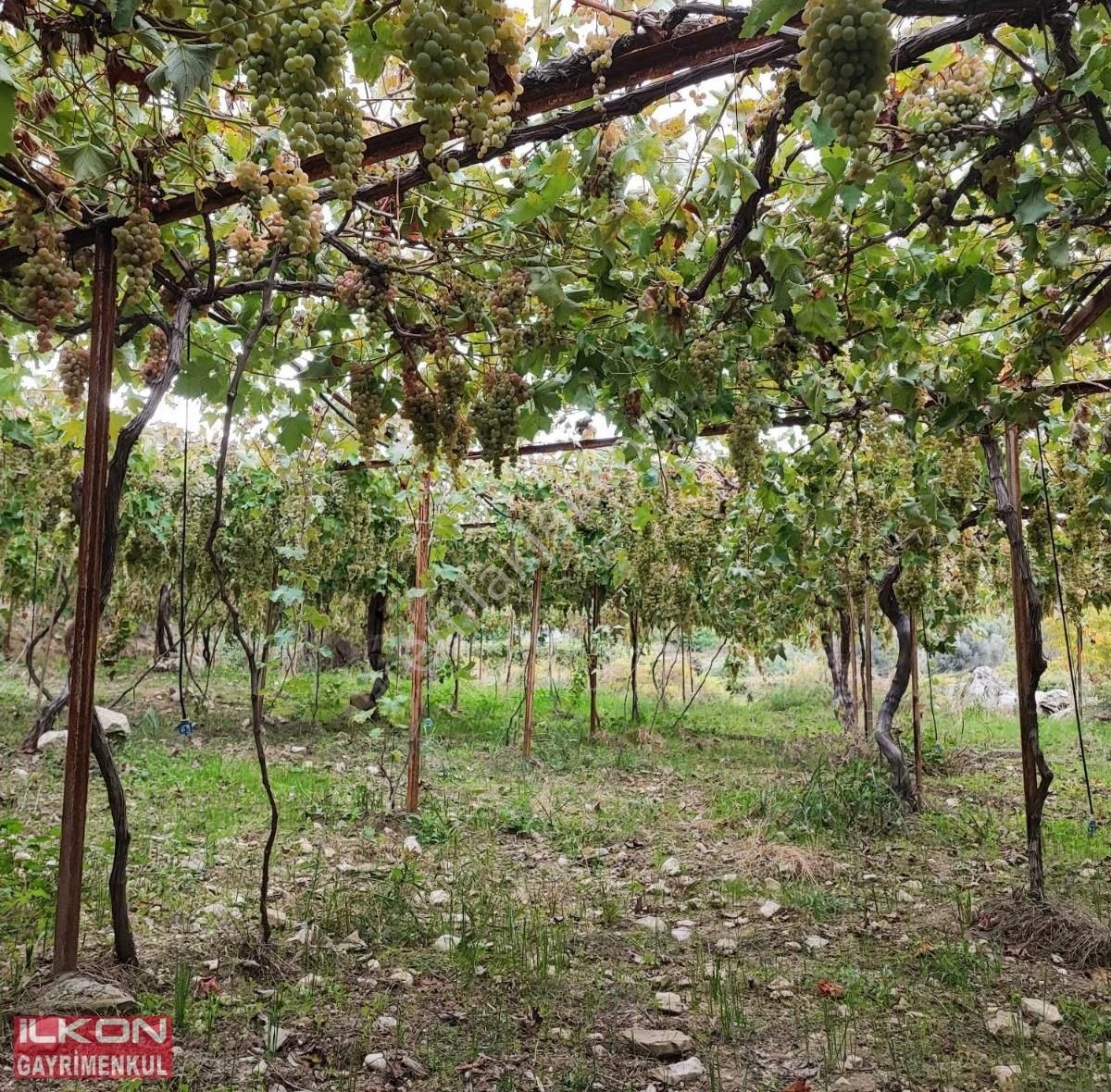 Seydikemer Arsa Mah.ilkondan Satılık Tarla