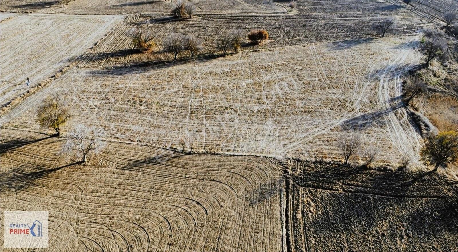 Antalya Döşemealtı Bademağacı Mahallesinde 5993 M2 Satılık - Görsel 6