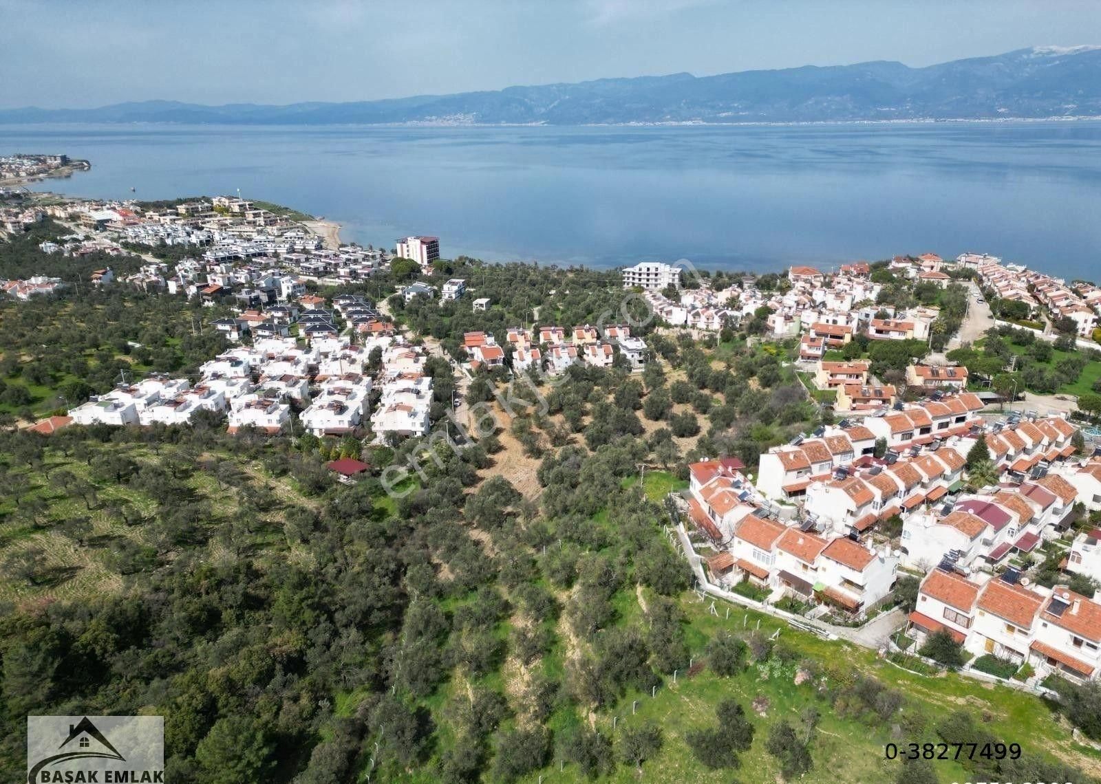 Başak Emlak | Deniz Manzaralı | 2,340 M2 | İmar Planı İçerisinde Zeytinlik - Görsel 11