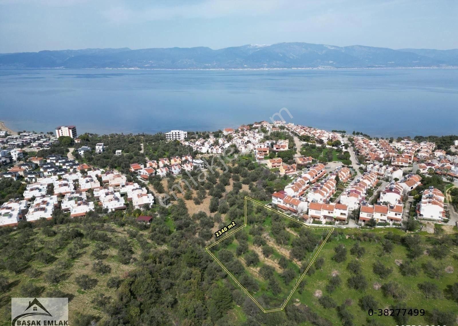 Başak Emlak | Deniz Manzaralı | 2,340 M2 | İmar Planı İçerisinde Zeytinlik - Görsel 14