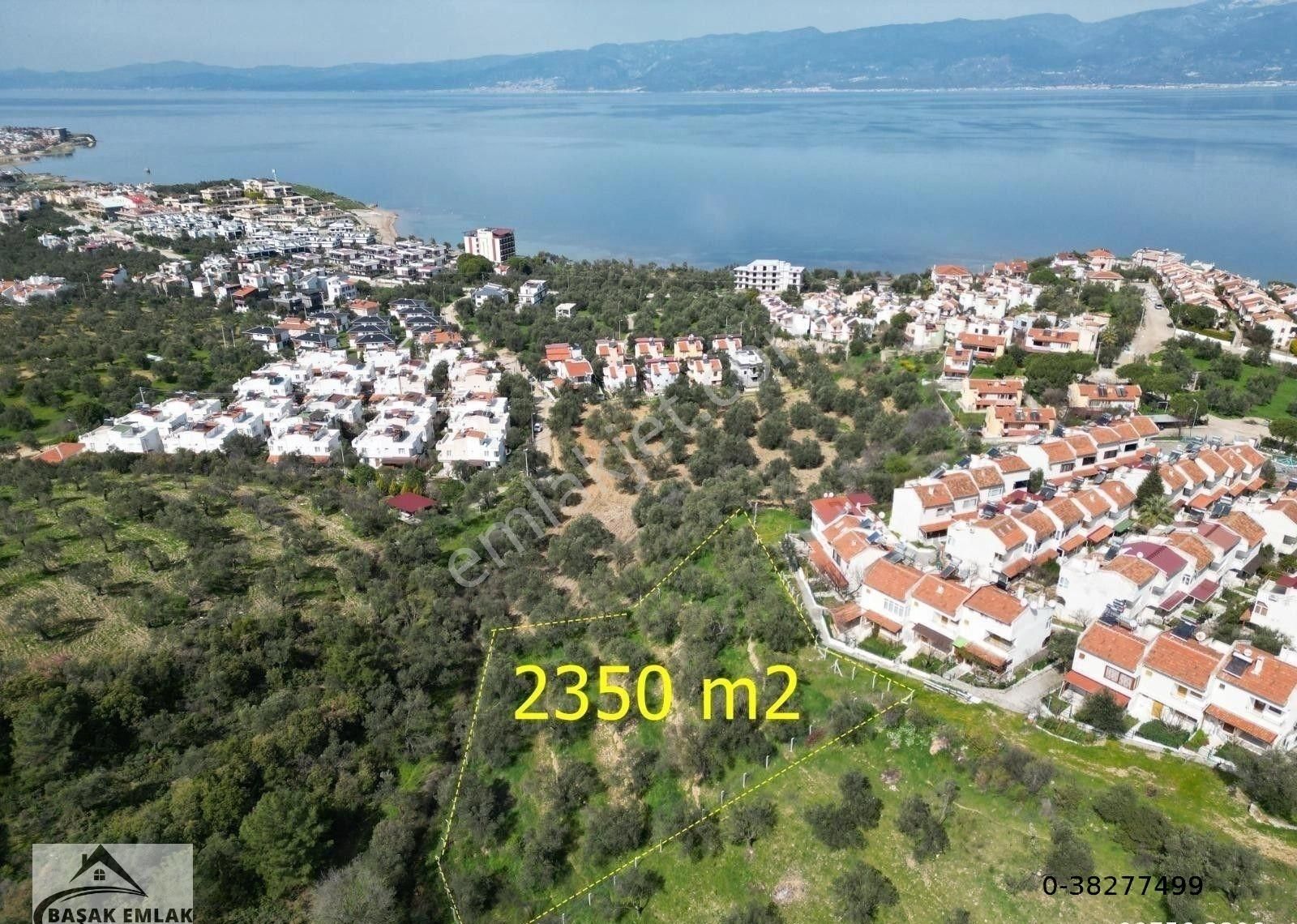 Başak Emlak | Deniz Manzaralı | 2,340 M2 | İmar Planı İçerisinde Zeytinlik - Görsel 28
