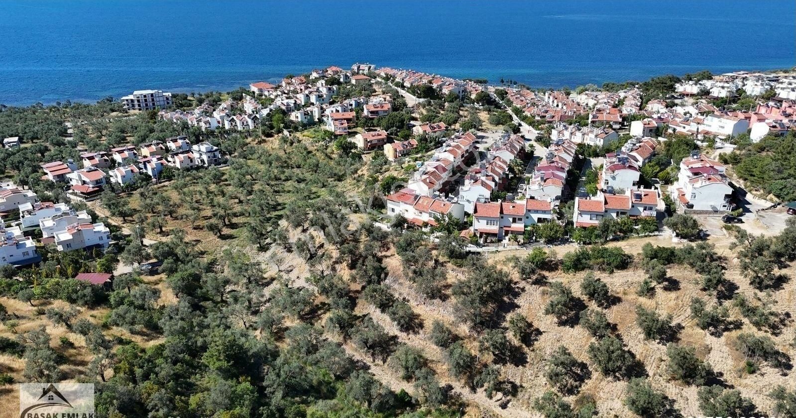 Başak Emlak | Deniz Manzaralı | 2,340 M2 | İmar Planı İçerisinde Zeytinlik - Görsel 15