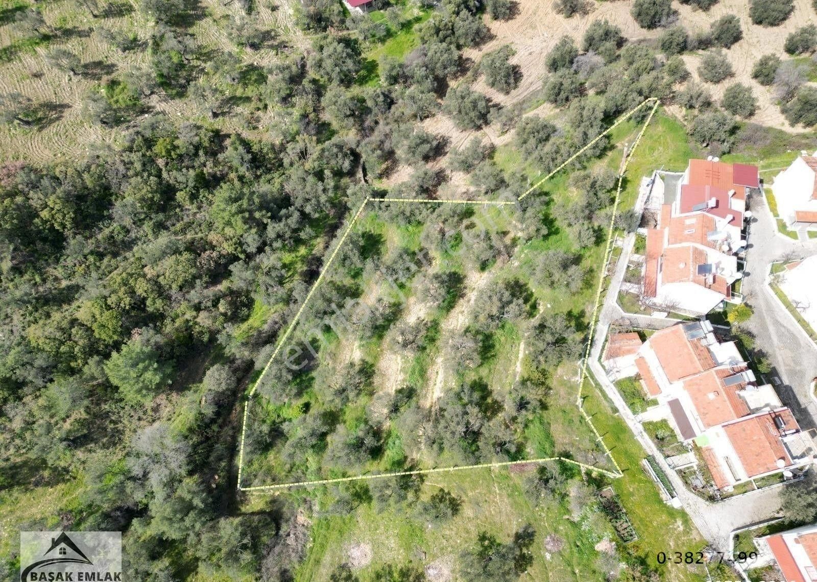 Başak Emlak | Deniz Manzaralı | 2,340 M2 | İmar Planı İçerisinde Zeytinlik - Görsel 27