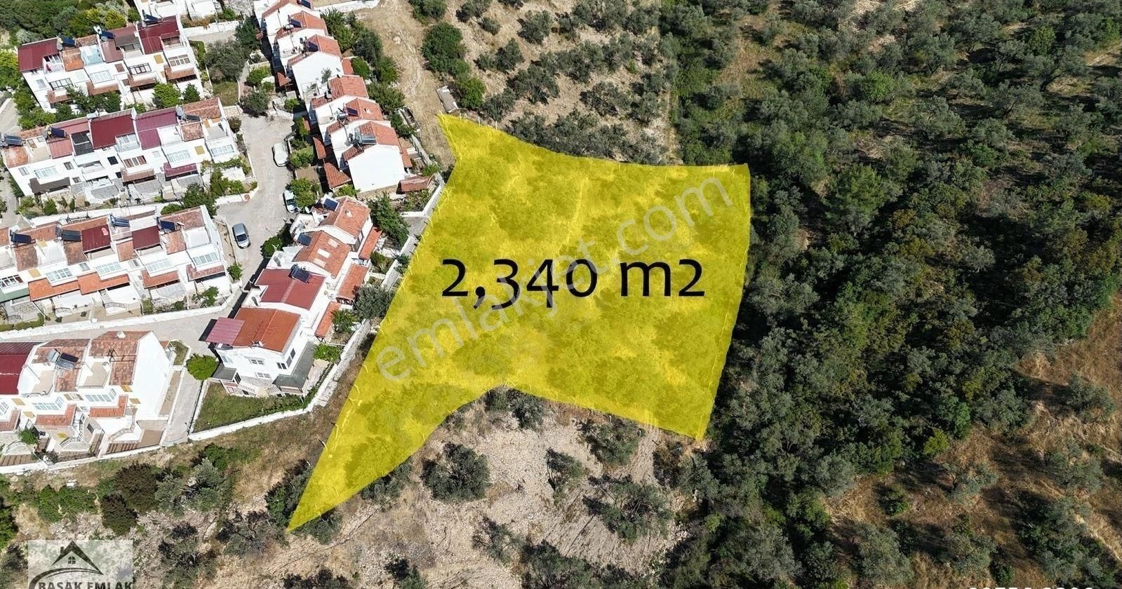 Başak Emlak | Deniz Manzaralı | 2,340 M2 | İmar Planı İçerisinde Zeytinlik - Görsel 3