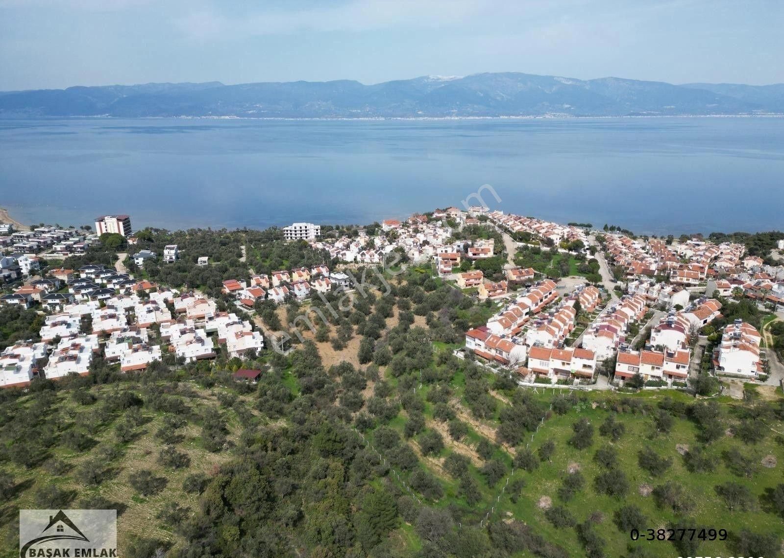 Başak Emlak | Deniz Manzaralı | 2,340 M2 | İmar Planı İçerisinde Zeytinlik - Görsel 30