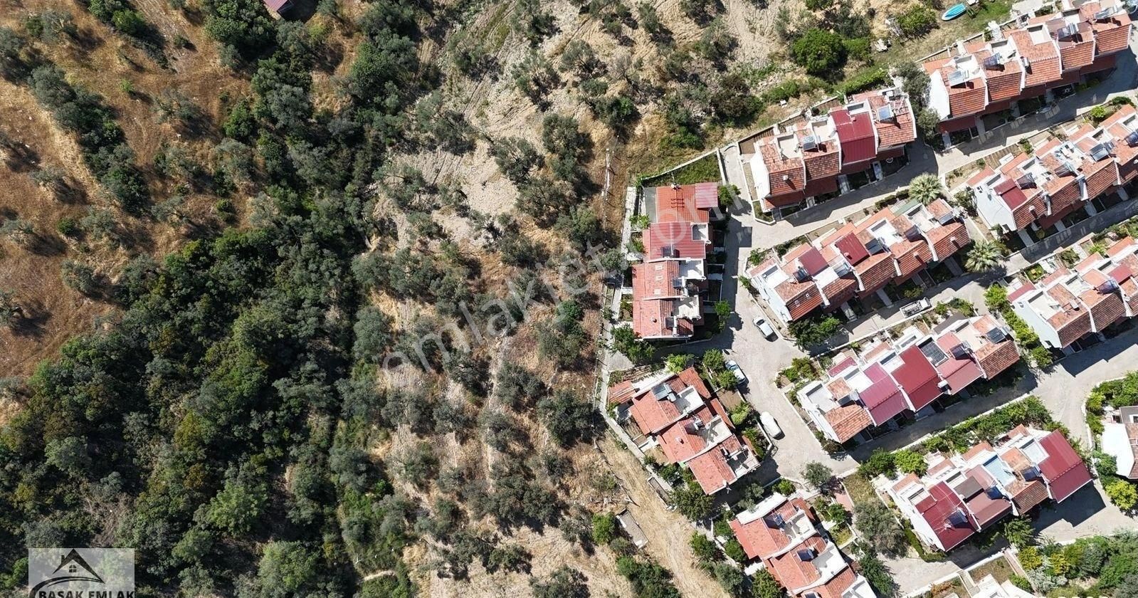 Başak Emlak | Deniz Manzaralı | 2,340 M2 | İmar Planı İçerisinde Zeytinlik - Görsel 23