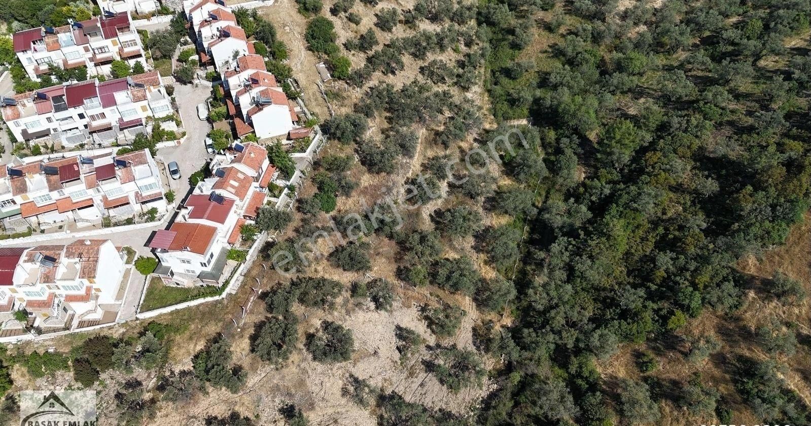 Başak Emlak | Deniz Manzaralı | 2,340 M2 | İmar Planı İçerisinde Zeytinlik - Görsel 8