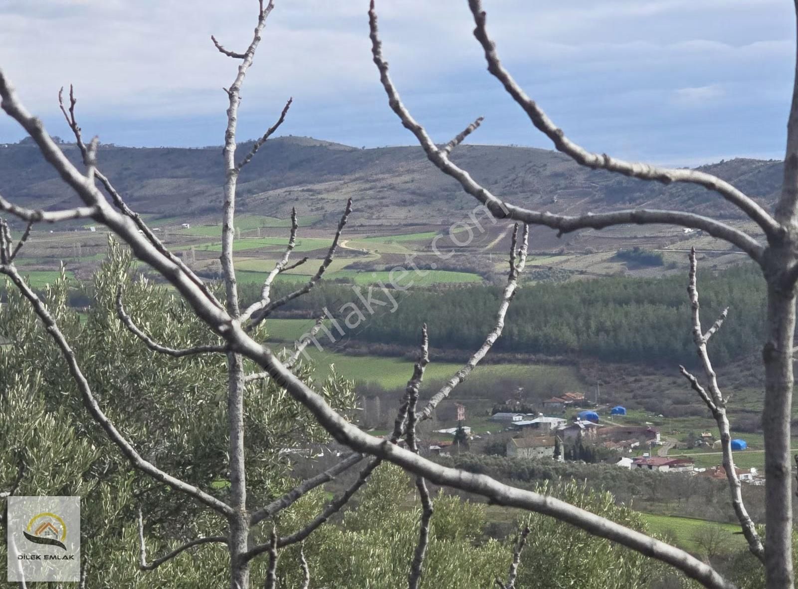 Bursa Yenişehir'de Yerleşime Yakın Tek Tapu 1300m2 Zeytinlik Bağ - Görsel 25