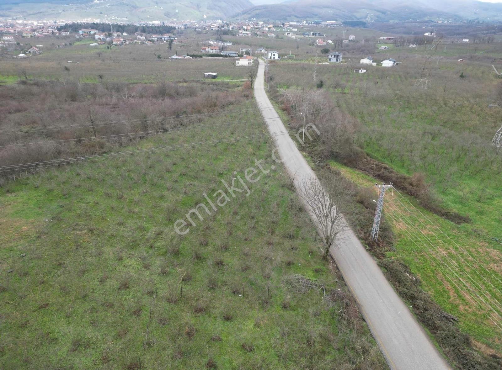 Meriç Çayrak'tan Çarşı Merkezi Yakın Satılık Köşe Arsalar(takas) - Görsel 13