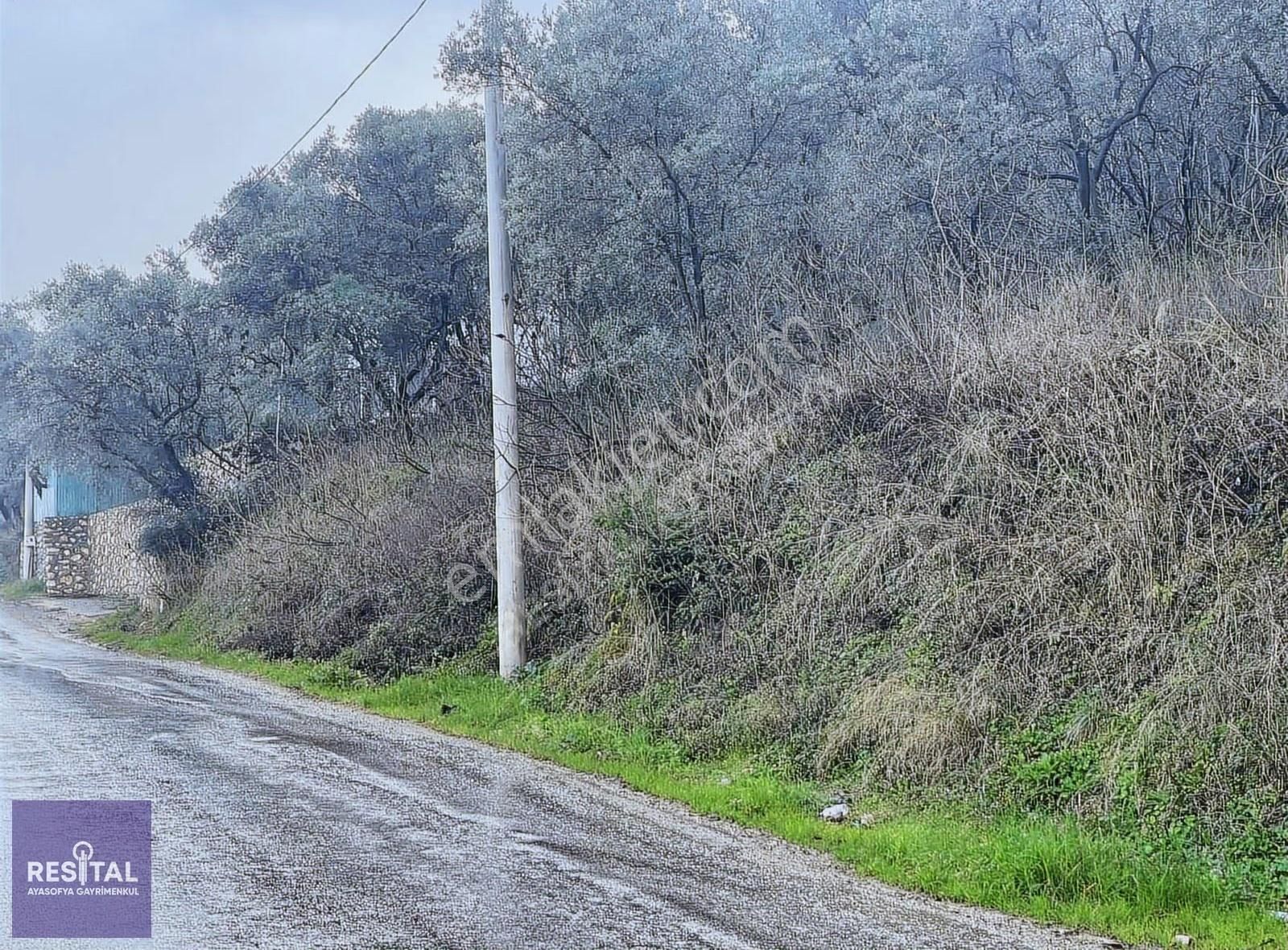 İznik Müşküle'de Göl Manzaralı 2.027m2 Satılık Zeytinlik - Görsel 9