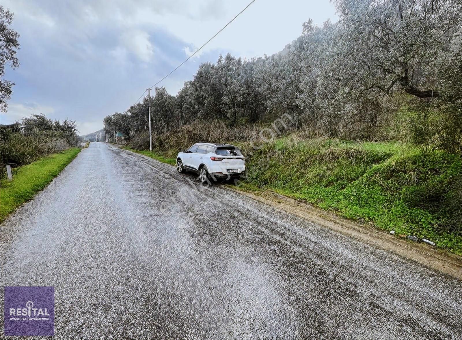 İznik Müşküle'de Göl Manzaralı 2.027m2 Satılık Zeytinlik - Görsel 4