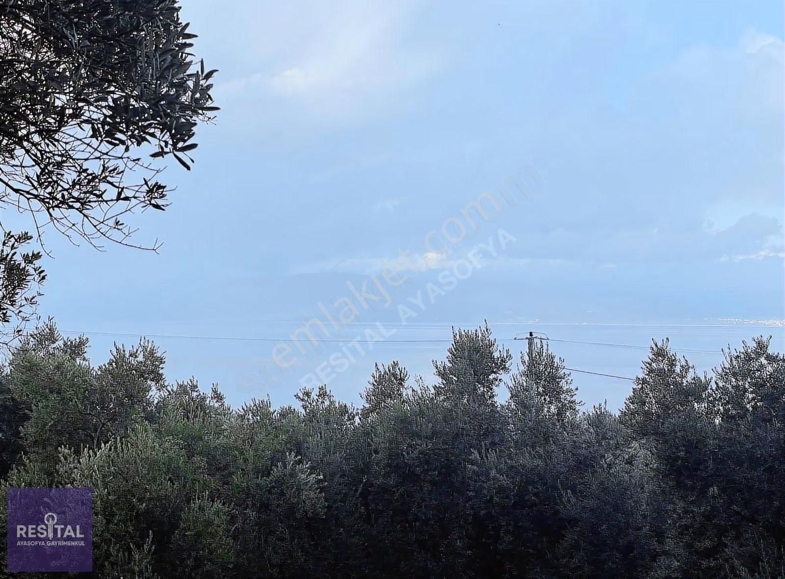 İznik Müşküle'de Göl Manzaralı 2.027m2 Satılık Zeytinlik