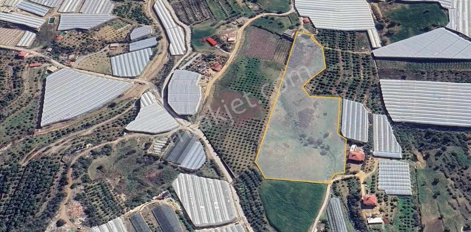 Alanya / İmamlı Mahallesi - 21.000 M2 - Görsel 2