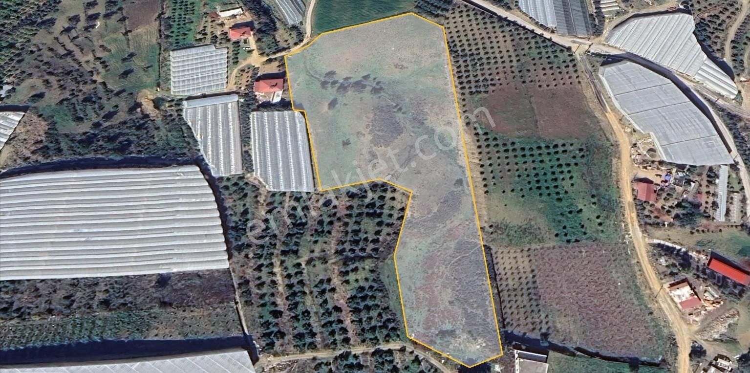 Alanya / İmamlı Mahallesi - 21.000 M2 - Görsel 4