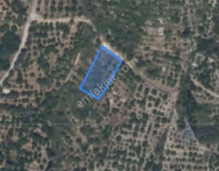 Mersin Erdemli Çiftepınar Mah.da 750 M.kare Satılık Tarla-bahçe - Görsel 2