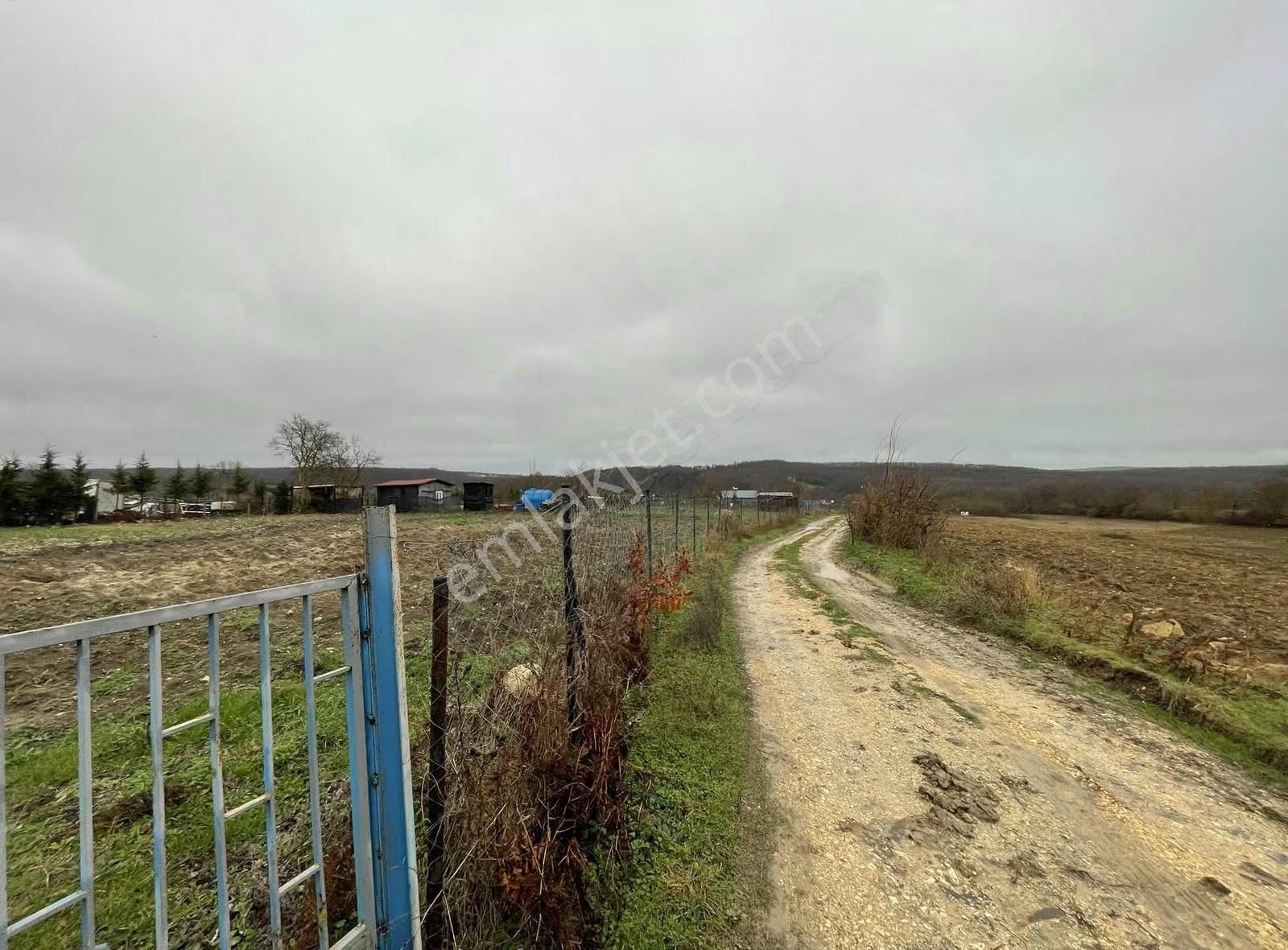 Çatalca İhsaniye'de Satılık 470 Metre Etrafı Çevrili Kelepir - Görsel 13