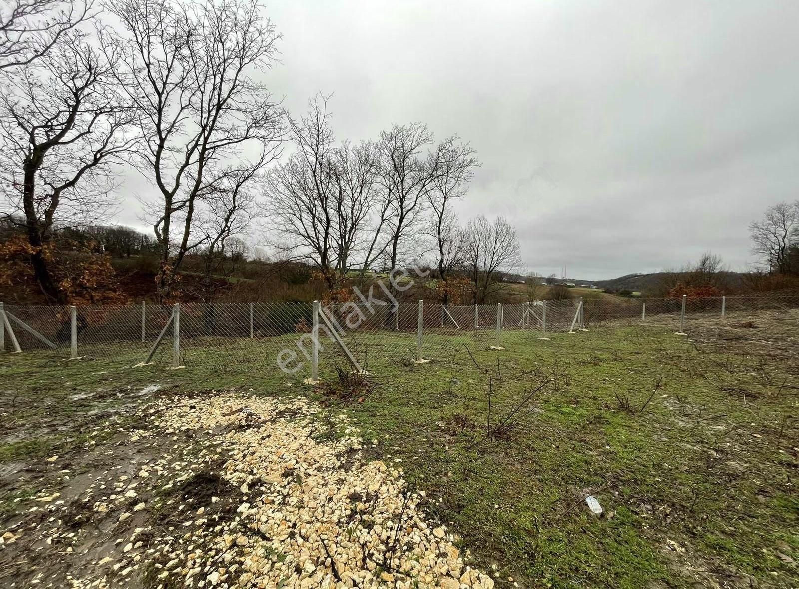 Çatalca İhsaniye'de Satılık 470 Metre Etrafı Çevrili Kelepir - Görsel 12