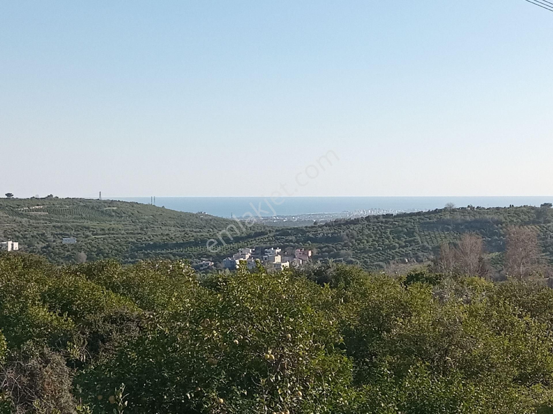 Mersin Erdemli Çiftepınar Mah.da 2161 M.kare Satılık Limon Bahçesi